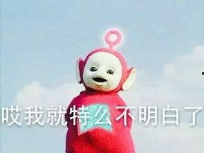 吃瓜小学僧,揭秘校园里的“瓜田”趣事