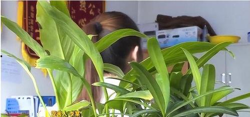 男生喝醉吃蜜瓜,男生醉后甜蜜一幕