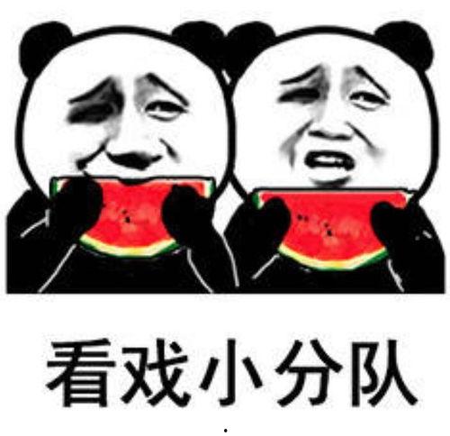 吃闪光瓜表情包,网络潮流中的欢乐源泉