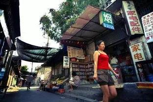 芳草横街吃瓜栏,吃瓜栏里话古今