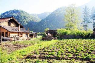 芳草横街吃瓜栏,吃瓜栏里话古今