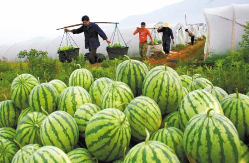 乐乐吃瓜,揭秘娱乐圈那些不为人知的幕后故事