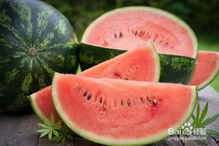 细胞里吃瓜,揭秘细胞代谢的奇妙之旅