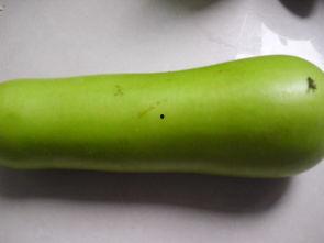 产后可以吃葫芦瓜,葫芦瓜的营养与适宜食用指南