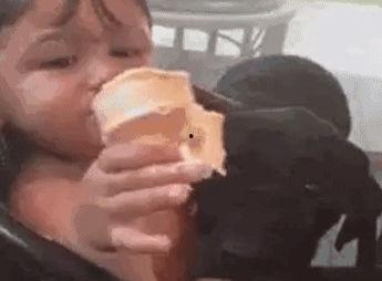 猪小明吃瓜,揭秘娱乐圈背后的秘密