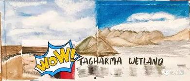 喀什吃瓜群,揭秘吃瓜群的欢乐时光