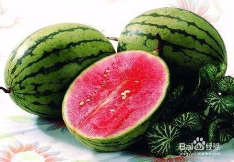 落九川和吃瓜,落九川的瓜田奇遇记