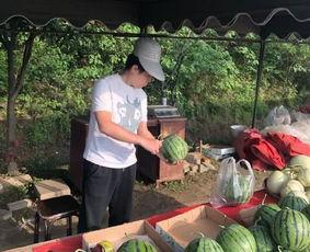 hlj吃瓜永不迷路,永不迷路，轻松解锁娱乐圈热点