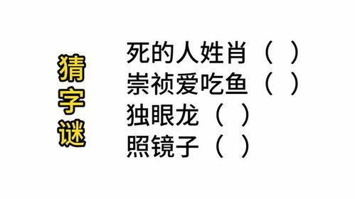 猜字谜吃瓜问题,吃瓜背后的趣味与智慧