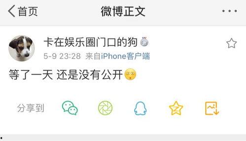 吃瓜爆料cn,吃瓜爆料CN带你直击明星幕后真相