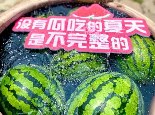 滚滚吃瓜,揭秘娱乐圈的幕后故事