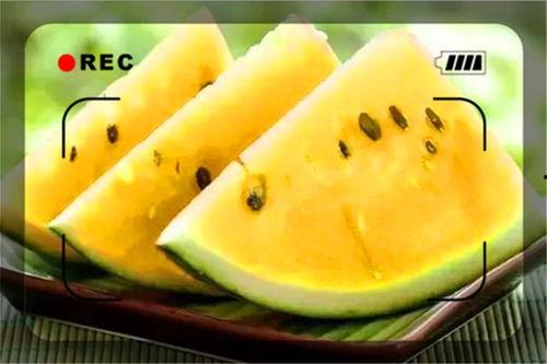 齐鲁融媒吃红瓜,探寻传统美食新风尚