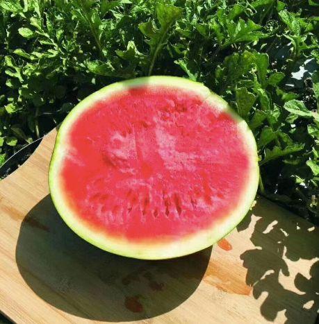 吃瓜拉籽,揭秘吃瓜拉籽的奇妙之旅