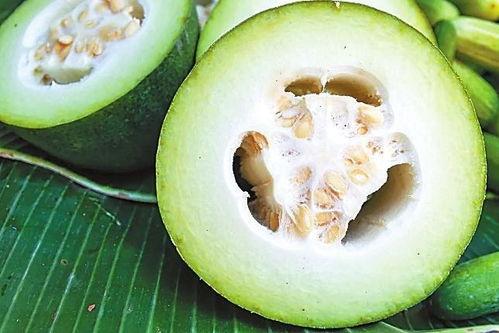 古代吃瓜系统,揭秘古代社交圈中的“瓜田李下”现象