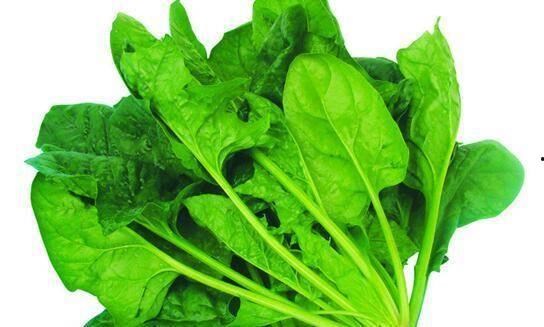 显眼吃瓜温情,一场别开生面的夏日盛宴