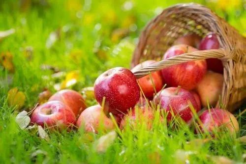 apple吃瓜服务,揭秘科技巨头的新娱乐玩法