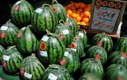 卖瓜女孩吃瓜,自产自销的瓜果人生