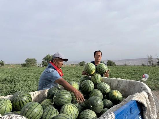 临武吃瓜,揭秘当地特色美食背后的故事