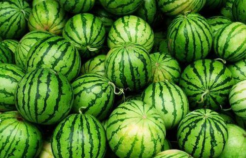 武汉夏天吃瓜法,瓜香四溢的消暑秘籍