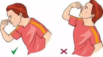 吃瓜不吐什么梗,揭秘娱乐圈那些不为人知的秘密