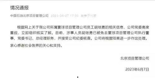 热门吃瓜董小姐,吃瓜界的风云人物，揭秘娱乐圈幕后真相