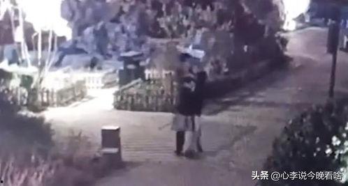 瓜儿吃瓜视频完整版,揭秘视频背后的精彩故事与幕后花絮