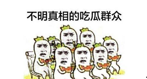 吃瓜群众小助理小说