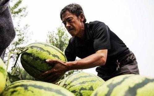 吃瓜的老者,揭秘娱乐圈背后的故事