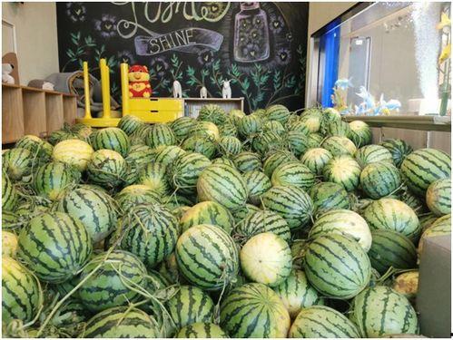 台湾吃瓜观众,揭秘娱乐圈幕后真相