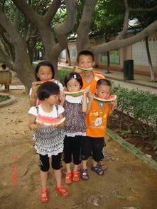 台湾吃瓜观众,揭秘娱乐圈幕后真相