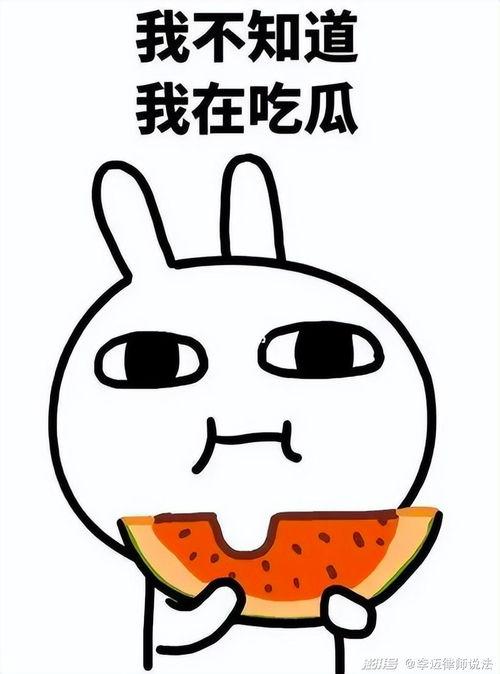 小漩嘟嘟吃瓜,揭秘娱乐圈那些不为人知的幕后故事