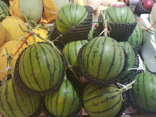 正主前吃瓜,揭秘正主前吃瓜背后的真相与内幕