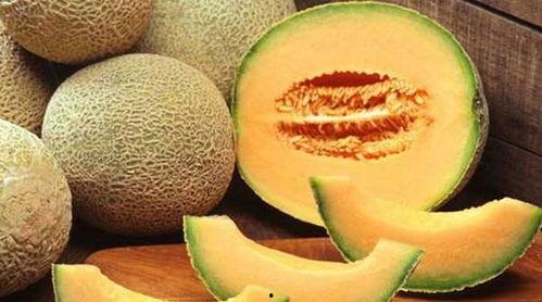 风寒吃哈密瓜,冬日食补新选择