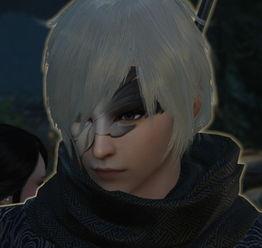 逆水寒吃瓜密码,揭秘吃瓜密码，探寻江湖背后的风云变幻