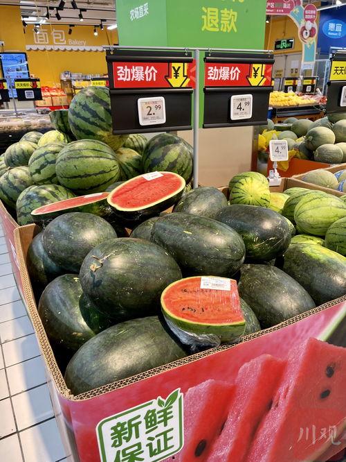 成都吃瓜女生,网络红人的崛起与影响