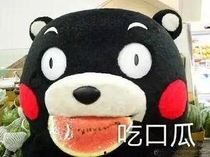 看剧吃瓜图,揭秘热门剧集背后的精彩幕后