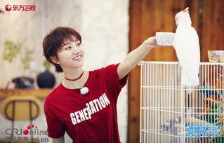 王源吃瓜路虎,揭秘明星日常趣事