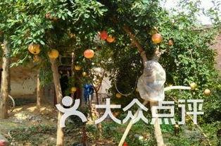 汝州翰林居吃瓜