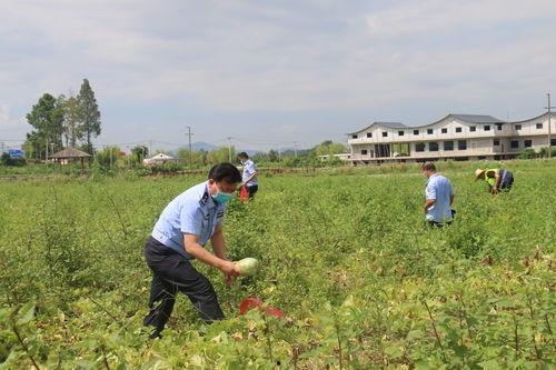 疫情期间吃瓜群众,见证时代变迁的旁观者