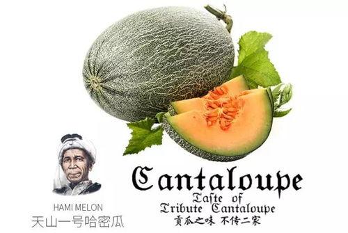 吃瓜号违法吗,网络言论自由与法律底线