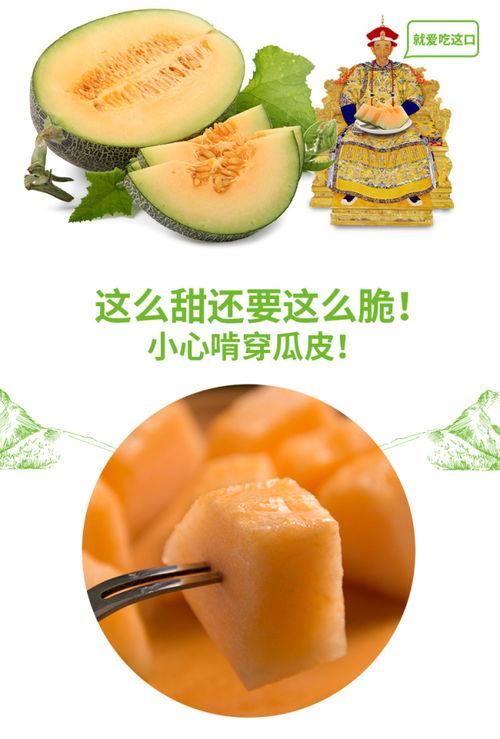 吃瓜号违法吗,网络言论自由与法律底线