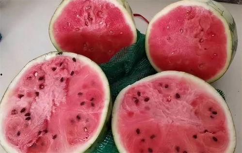 吃麒麟瓜热量,美味与健康的完美结合