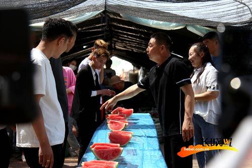 吃瓜主题照片高清图片,高清镜头下的瓜果世界