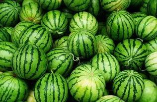 各类吃瓜群,网络社交的趣味与争议