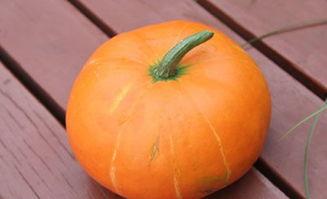 秋季吃瓜的禁忌,揭秘秋季吃瓜的注意事项