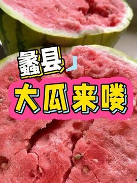 河北蠡县吃瓜,瓜香四溢的夏日美食之旅