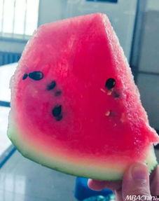 熬夜瓜可以吃吗,揭秘熬夜时可以食用的健康选择