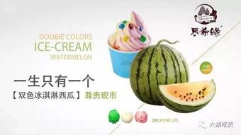 吃瓜掌柜,网络红人的崛起与影响力