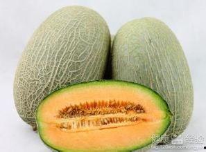哈密瓜能打热吃吗,探索热食新风味