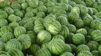 暗料网吃瓜,揭秘娱乐圈背后的惊人真相